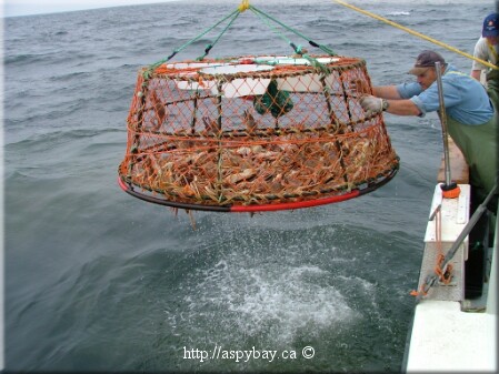 trap ready to swing over the boat